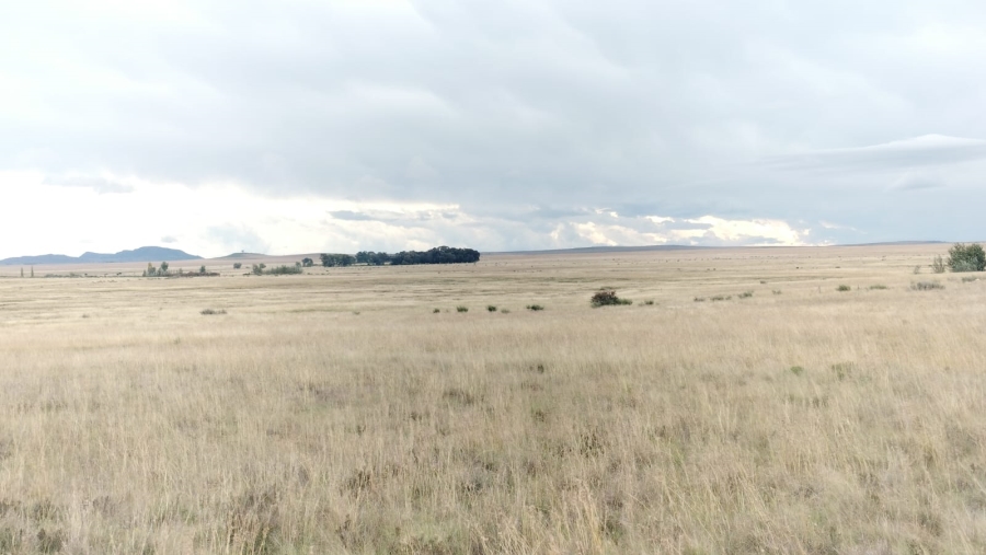 5 Bedroom Property for Sale in Dewetsdorp Rural Free State